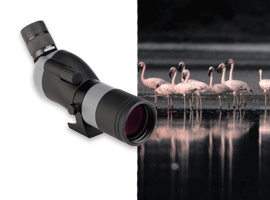 link to our range of Spotting Scope (Body Only) 